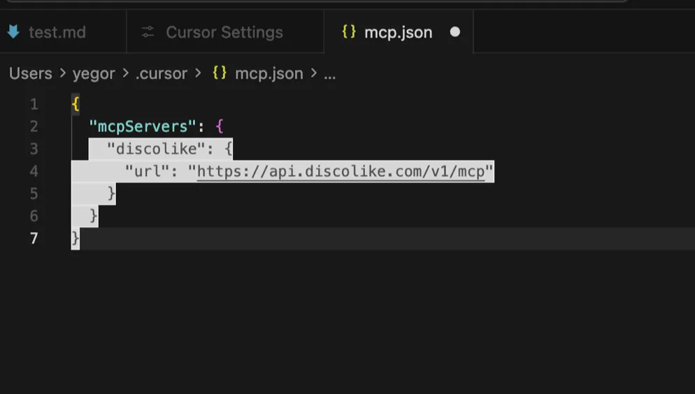 mcp.json configuration